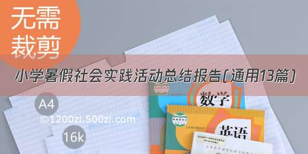 小学暑假社会实践活动总结报告(通用13篇)