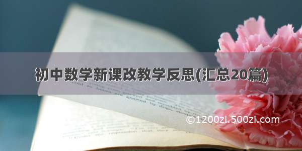 初中数学新课改教学反思(汇总20篇)