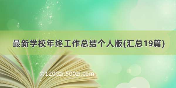 最新学校年终工作总结个人版(汇总19篇)