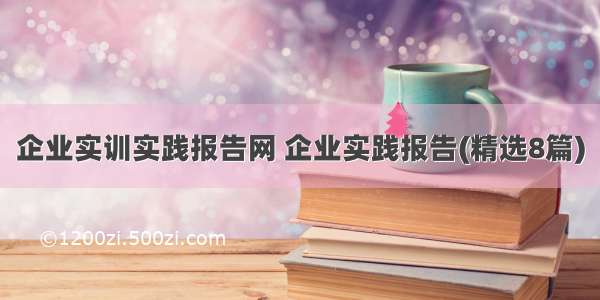 企业实训实践报告网 企业实践报告(精选8篇)