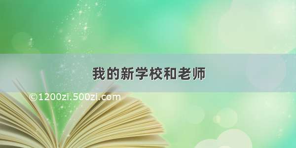 我的新学校和老师