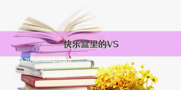 快乐盒里的VS