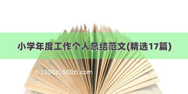 小学年度工作个人总结范文(精选17篇)