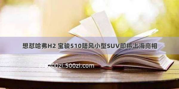 想怼哈弗H2 宝骏510陆风小型SUV即将上海亮相