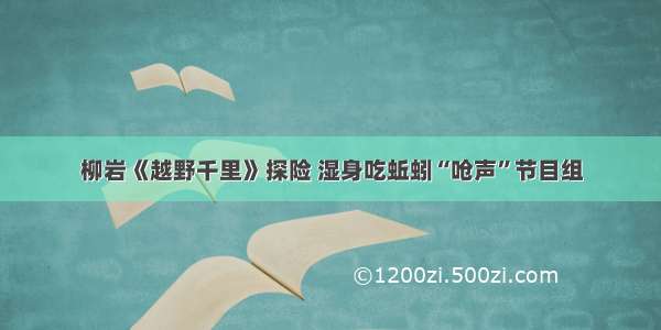 柳岩《越野千里》探险 湿身吃蚯蚓“呛声”节目组