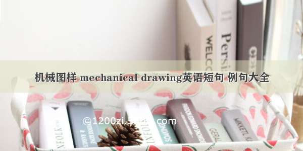 机械图样 mechanical drawing英语短句 例句大全