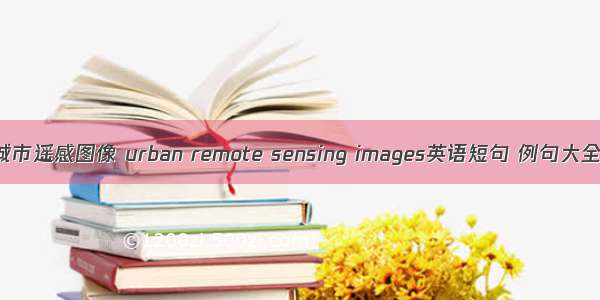 城市遥感图像 urban remote sensing images英语短句 例句大全