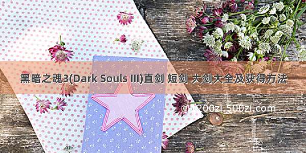 黑暗之魂3(Dark Souls III)直剑 短剑 大剑大全及获得方法