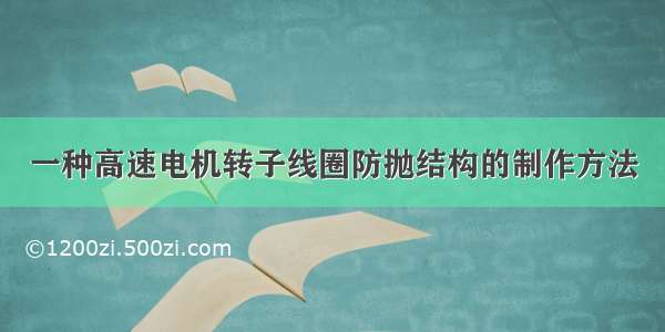 一种高速电机转子线圈防抛结构的制作方法