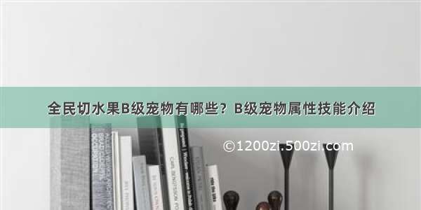 全民切水果B级宠物有哪些？B级宠物属性技能介绍