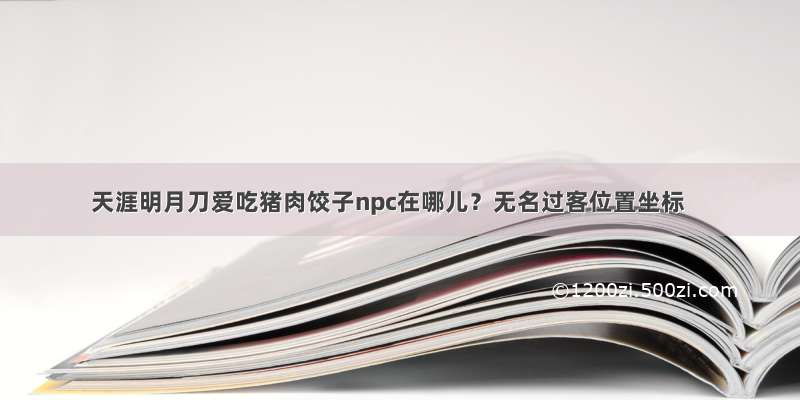 天涯明月刀爱吃猪肉饺子npc在哪儿？无名过客位置坐标