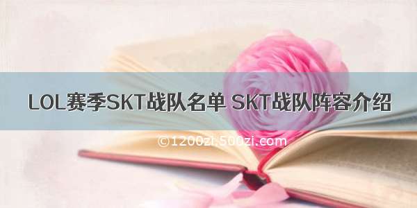 LOL赛季SKT战队名单 SKT战队阵容介绍