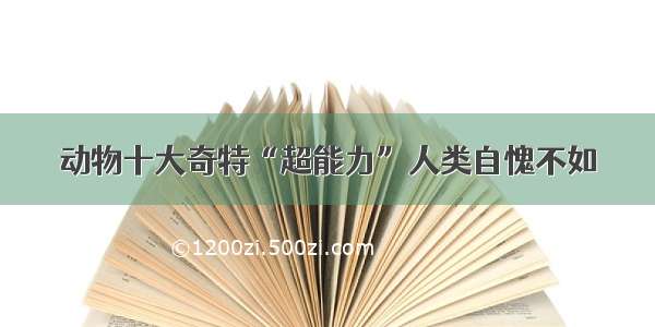 动物十大奇特“超能力”人类自愧不如