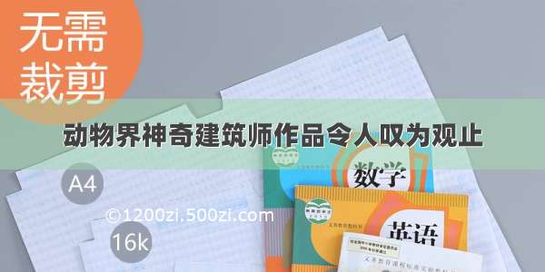 动物界神奇建筑师作品令人叹为观止