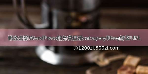 修改去除WordPress的分类目录category和tag标签URL