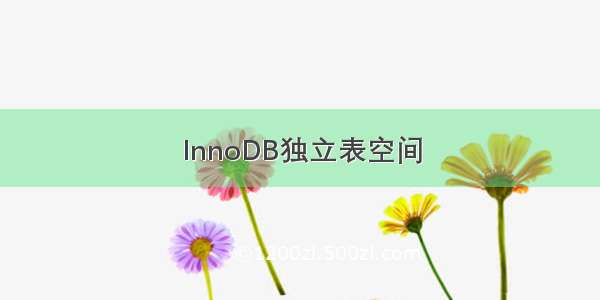 InnoDB独立表空间