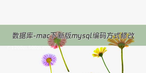 数据库-mac下新版mysql编码方式修改