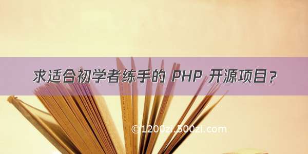 求适合初学者练手的 PHP 开源项目？