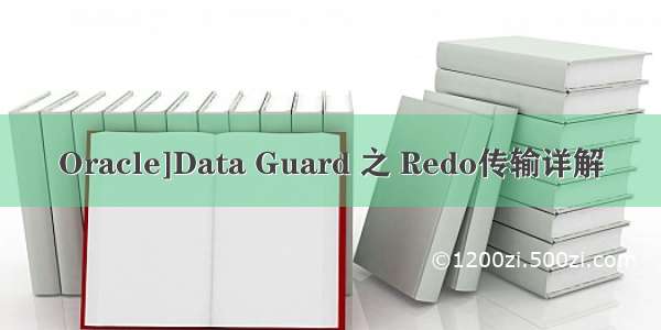 Oracle]Data Guard 之 Redo传输详解