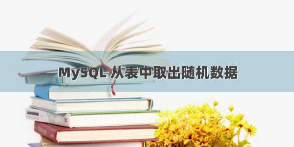 MySQL 从表中取出随机数据