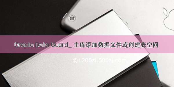 Oracle Data Guard_ 主库添加数据文件或创建表空间