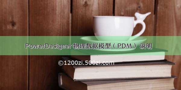 PowerDesigner 物理数据模型（PDM） 说明