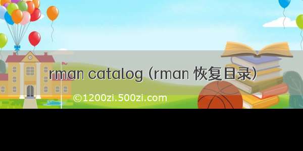 rman catalog (rman 恢复目录)