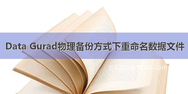 Data Gurad物理备份方式下重命名数据文件