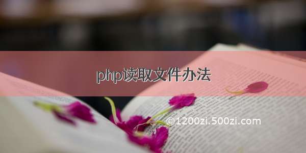 php读取文件办法