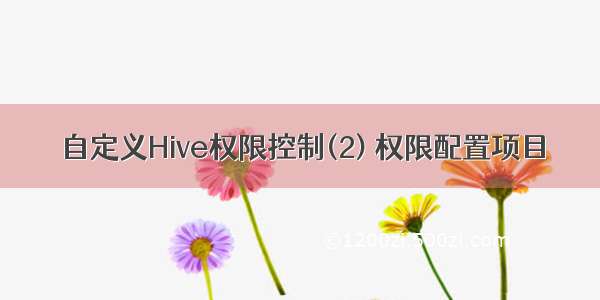 自定义Hive权限控制(2) 权限配置项目