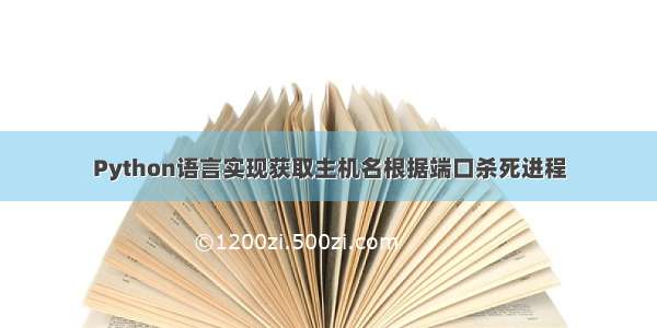 Python语言实现获取主机名根据端口杀死进程