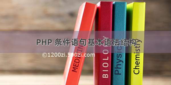 PHP 条件语句基本语法结构