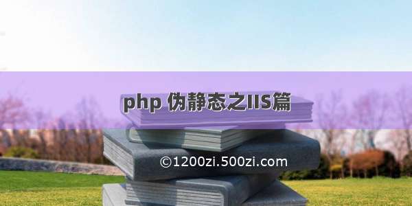 php 伪静态之IIS篇