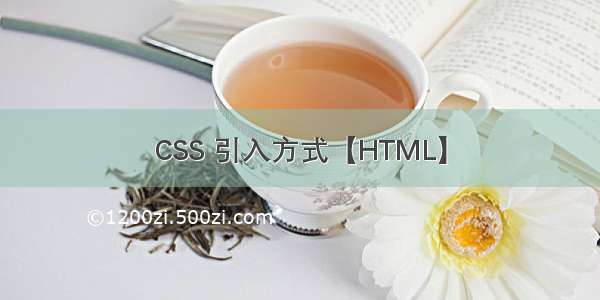 CSS 引入方式【HTML】