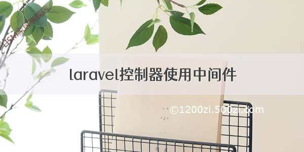 laravel控制器使用中间件