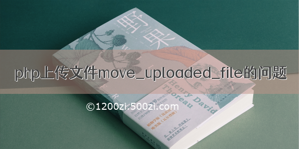 php上传文件move_uploaded_file的问题
