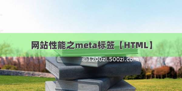 网站性能之meta标签【HTML】