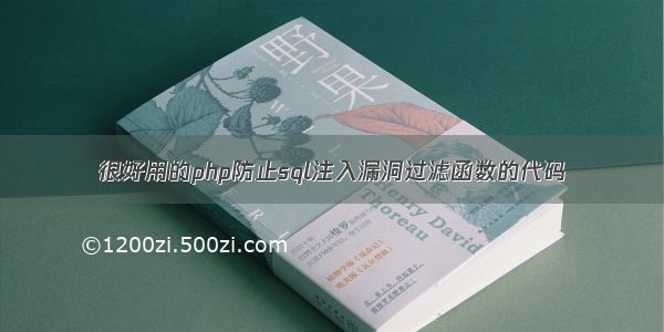 很好用的php防止sql注入漏洞过滤函数的代码