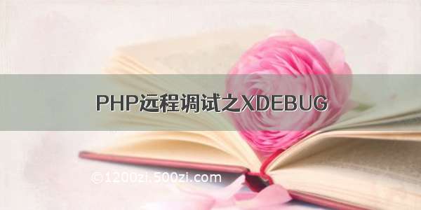 PHP远程调试之XDEBUG