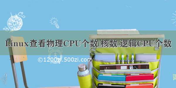 Linux查看物理CPU个数 核数 逻辑CPU个数