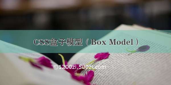 CSS盒子模型（Box Model）