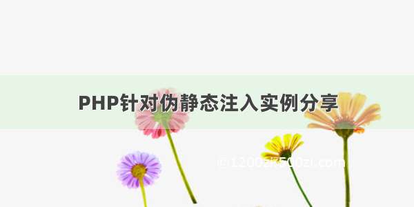 PHP针对伪静态注入实例分享