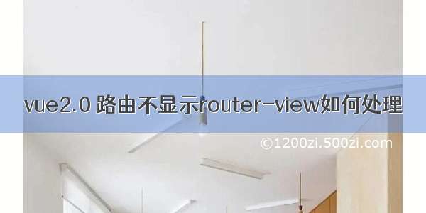 vue2.0 路由不显示router-view如何处理