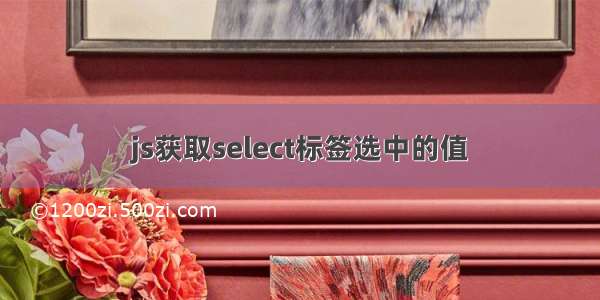 js获取select标签选中的值