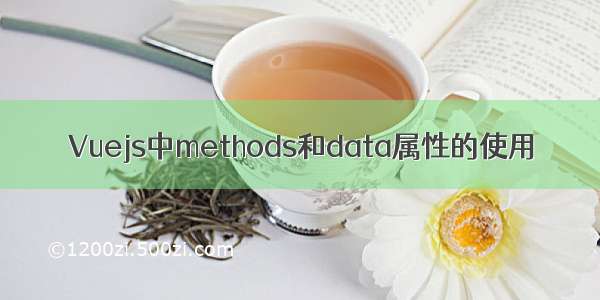 Vuejs中methods和data属性的使用