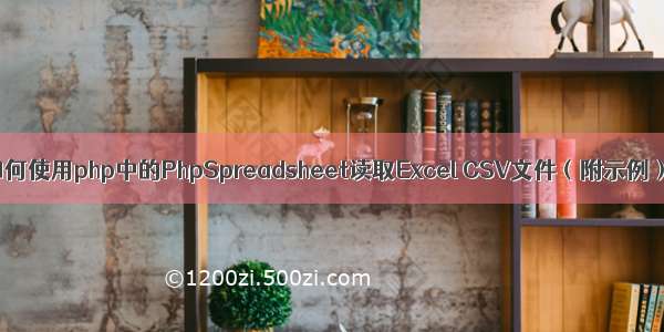 如何使用php中的PhpSpreadsheet读取Excel CSV文件（附示例）