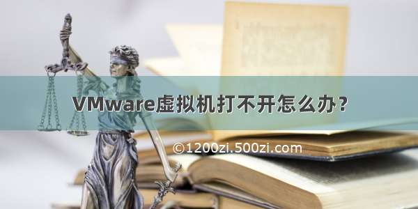 VMware虚拟机打不开怎么办？