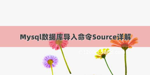 Mysql数据库导入命令Source详解