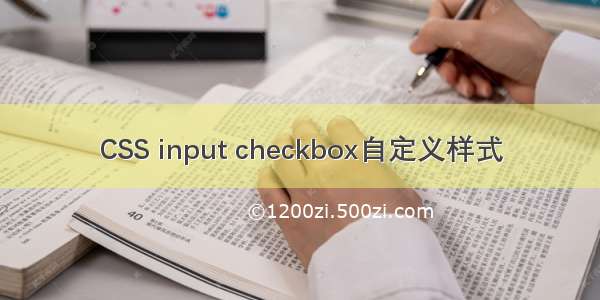 CSS input checkbox自定义样式