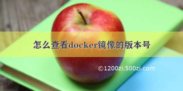 怎么查看docker镜像的版本号